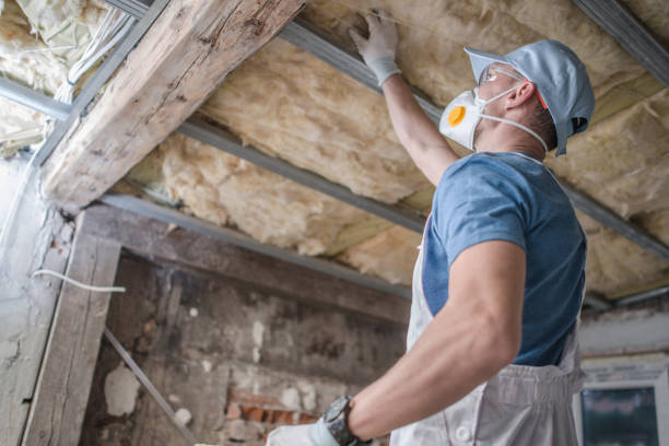 Best Spray Foam Insulation  in Mason City, IL