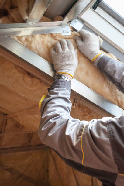 Best Fiberglass Insulation  in Mason City, IL