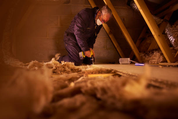 Best Professional Insulation Contractor  in Mason City, IL