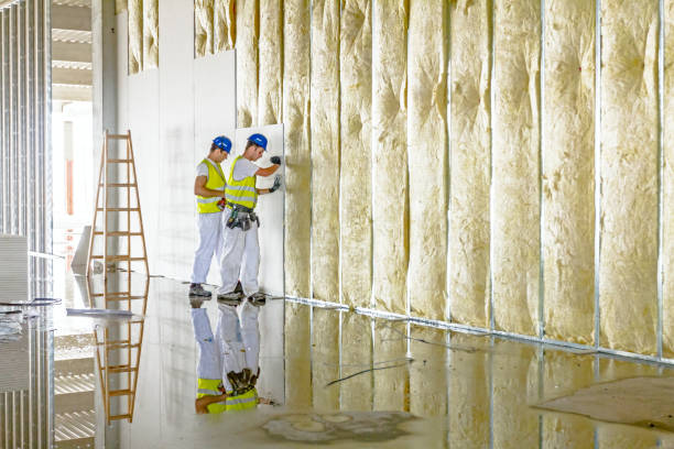 Best Insulation for Commercial Buildings  in Mason City, IL